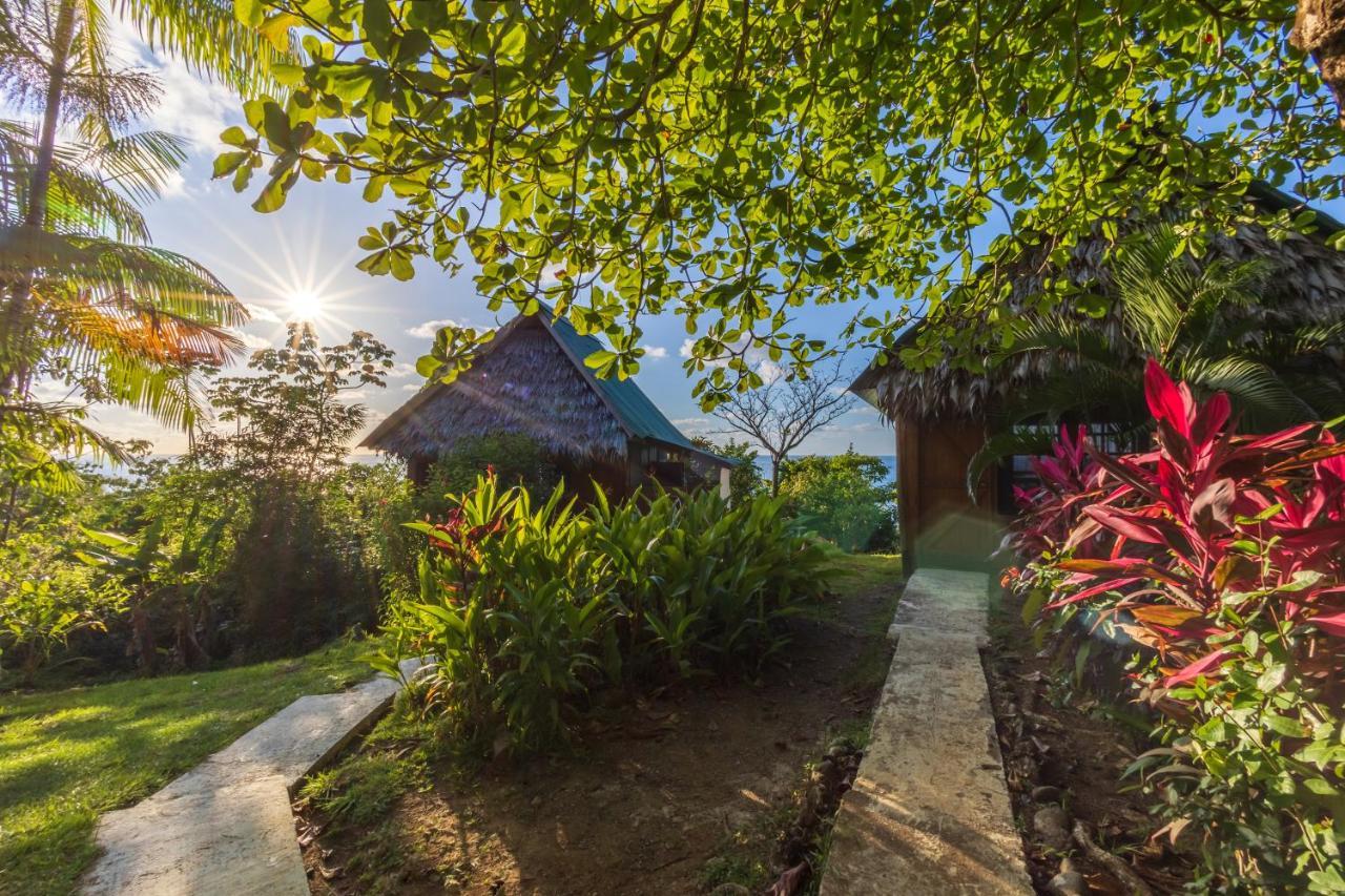 Punta Marenco Lodge Drakes Bay Екстериор снимка